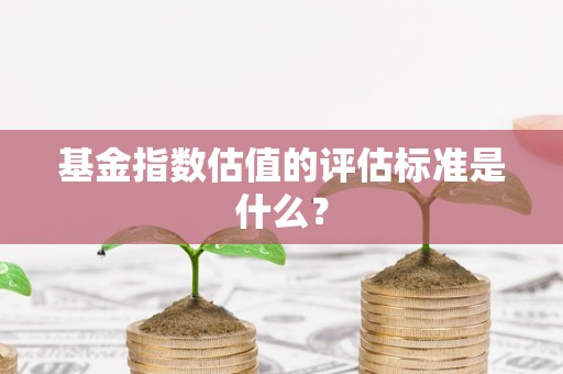 基金指数估值的评估标准是什么？