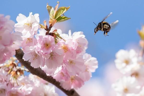 天津意外险报销多长时间能报下来?