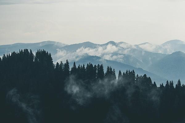 百万医疗康健华尊